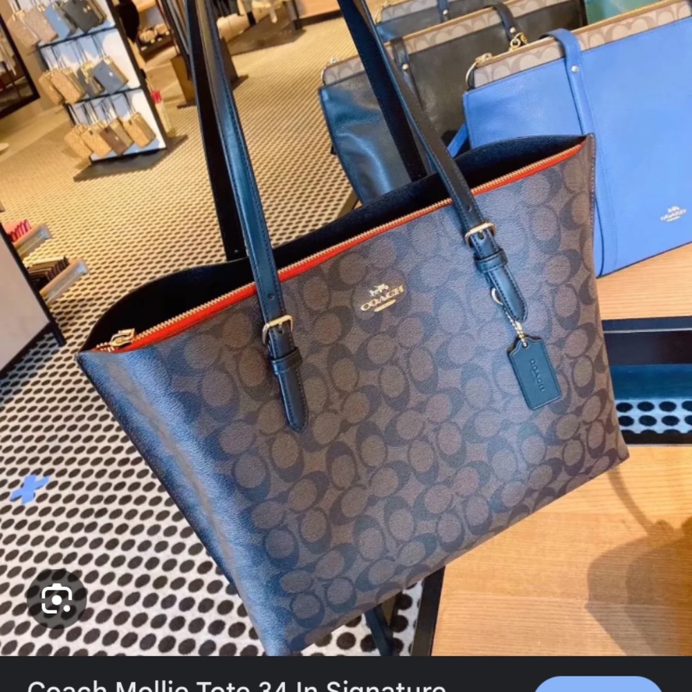 NWOT COACH MOLLIE TOTE BAG